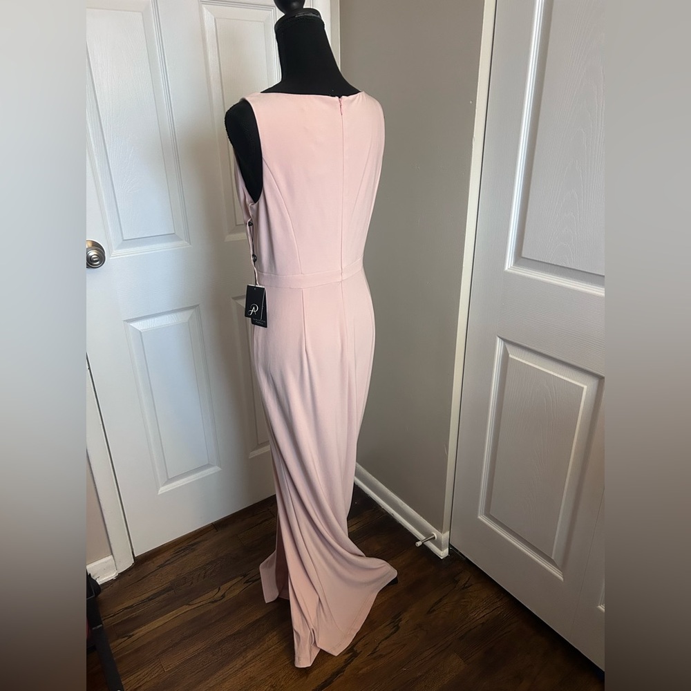 Adrianna Papell Blush Lace Maxi Dress - Picture 4 of 9